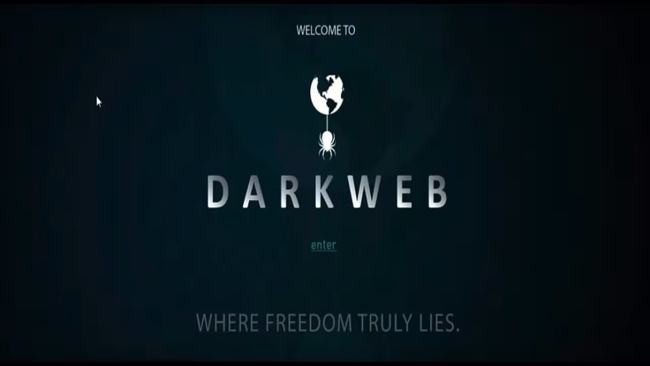 Cover image for post: hacker-anonymous-alex-danyliuk-and-the-global-credit-card-heist-608e4898